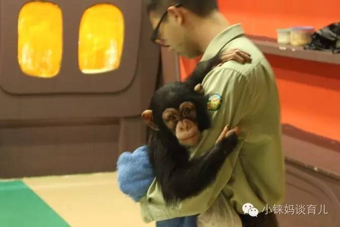 长隆野生动物园攻略亲子游三天,从广州长隆到珠海长隆亲子游攻略