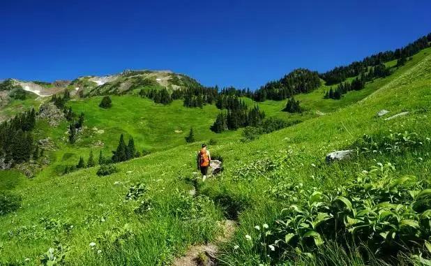 七分醉，九份迷！初秋的温哥华美的太任性，随手拍来皆美景