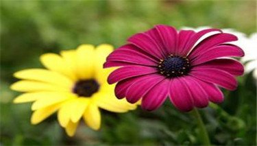 怀孕肚子疼有点出血要保胎吗,怀孕45天出血了保胎能保住吗