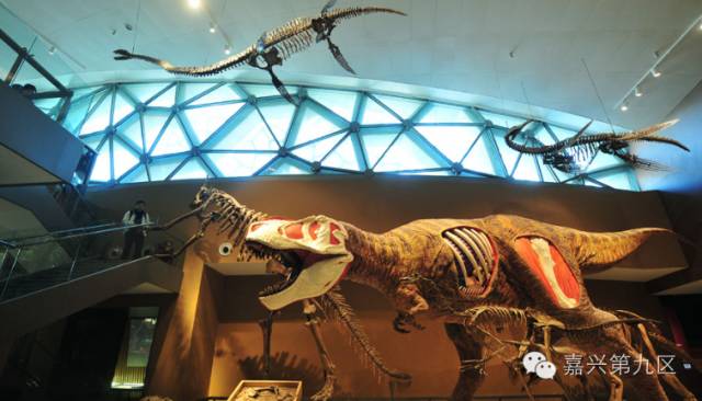 宁波出发高铁4-5小时能到哪里,宁波出发坐高铁三日游推荐