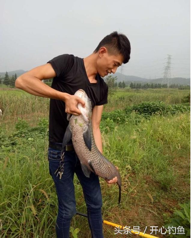 老鬼鱼饵料钓鳊鱼,老鬼专钓鳊鱼饵料配方