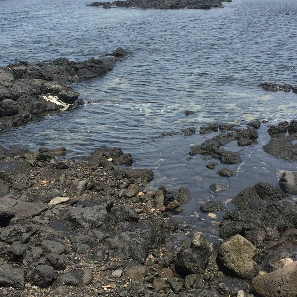 济州岛旅游攻略地图高清,济州岛旅游攻略图片三日游8月