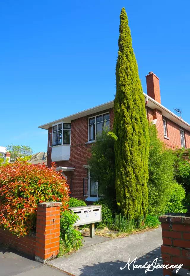 新西兰丨Dunedin但尼丁：骄傲的花园城市