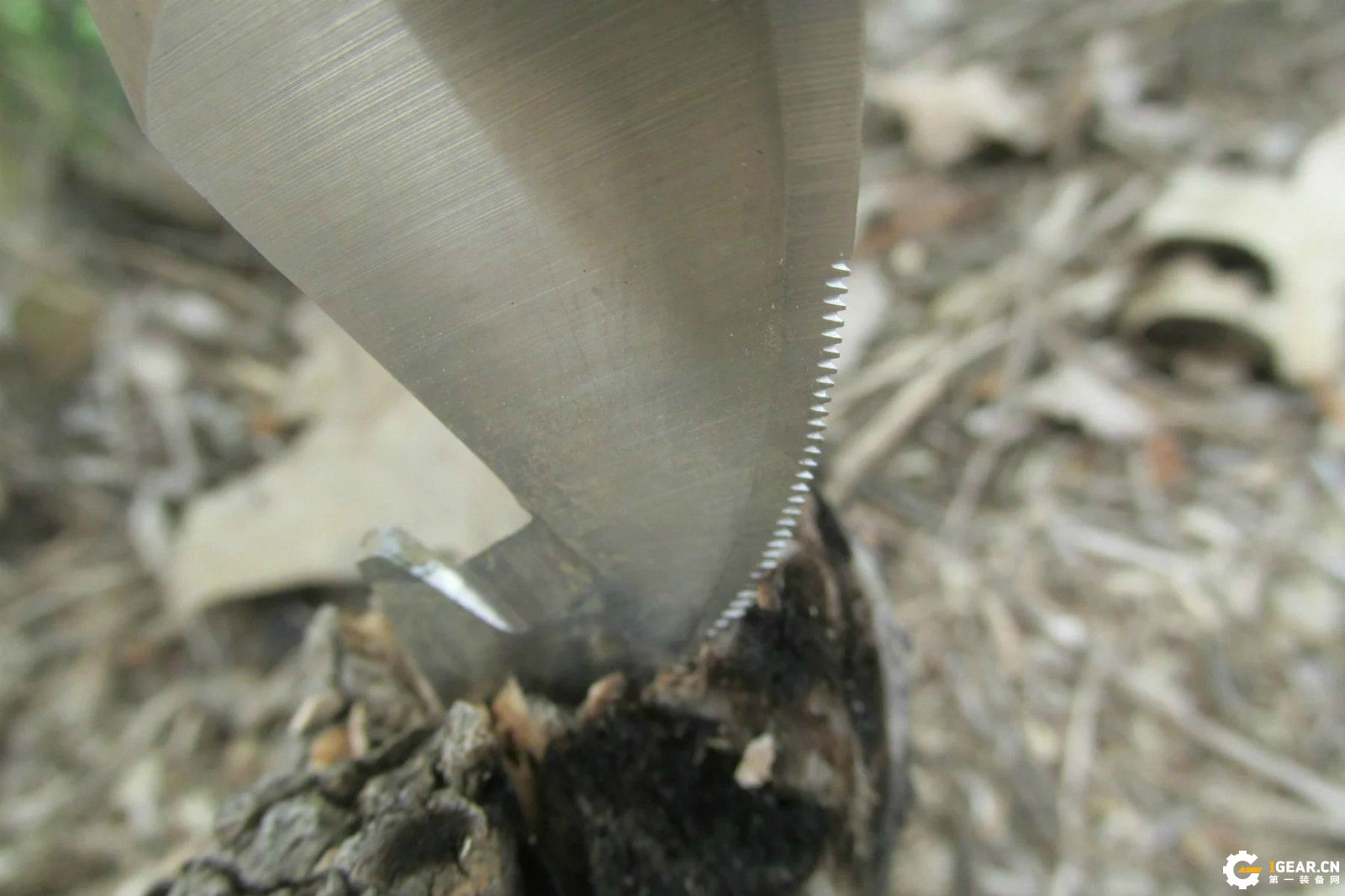 锋芒必露的效果,锋芒毕露战法