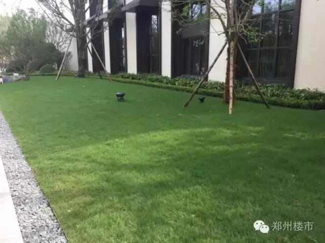 融创瓏府,融侨悦府对比金科城