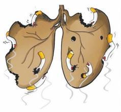 五脏六腑调理最佳方法,五脏清洁法