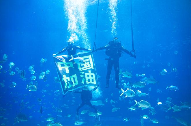 万达南昌海洋馆,南昌万达海洋馆