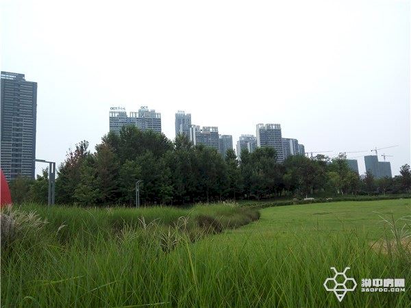 纯水岸东湖解读,武汉东湖纯水岸房价