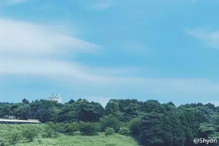 蝉鸣的夏天我想遇见你,蝉鸣的夏季我想遇见你英文