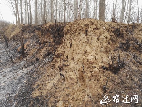 宿姓是怎么来的,宿徐从哪里来的