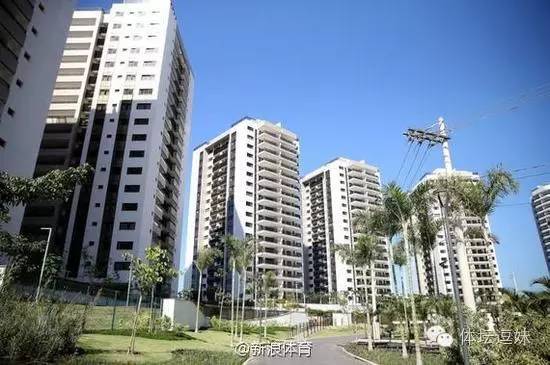 福原爱：我好好一个运动员，怎么就变修马桶的了