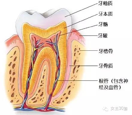 新美容|唇膏买嗨了,可你的牙配得上这些唇膏吗?