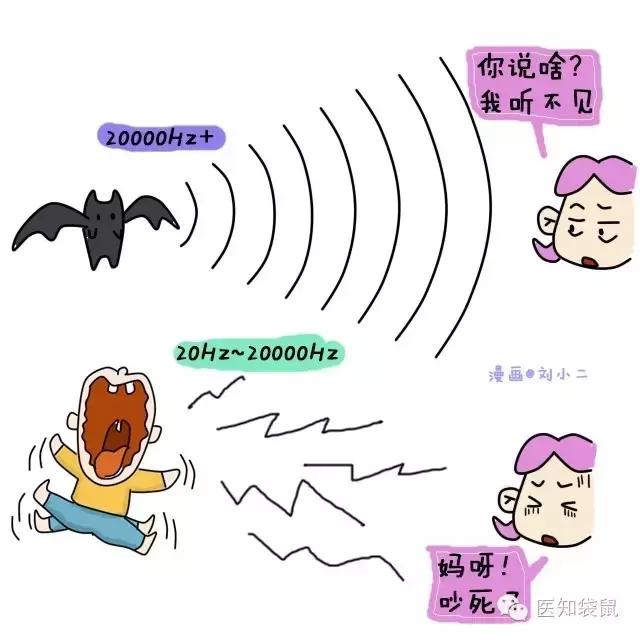 深度解析：普通B超、三维及四维彩超的区别