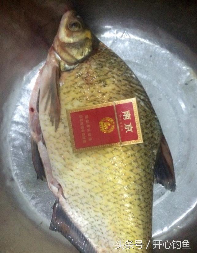 老鬼鱼饵料钓鳊鱼,老鬼专钓鳊鱼饵料配方