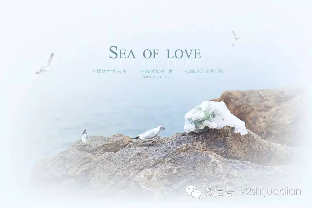 娴疯竟濠氱罕鎽勫奖浣滃搧娆ｈ祻,涓婃捣鍞竴瑙嗚濠氱罕鎽勫奖鏍风墖