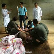 羊妞的日常生活,羊妞的生活记录