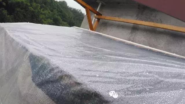 多肉挡雨遮阳布,伸缩挡雨架多肉