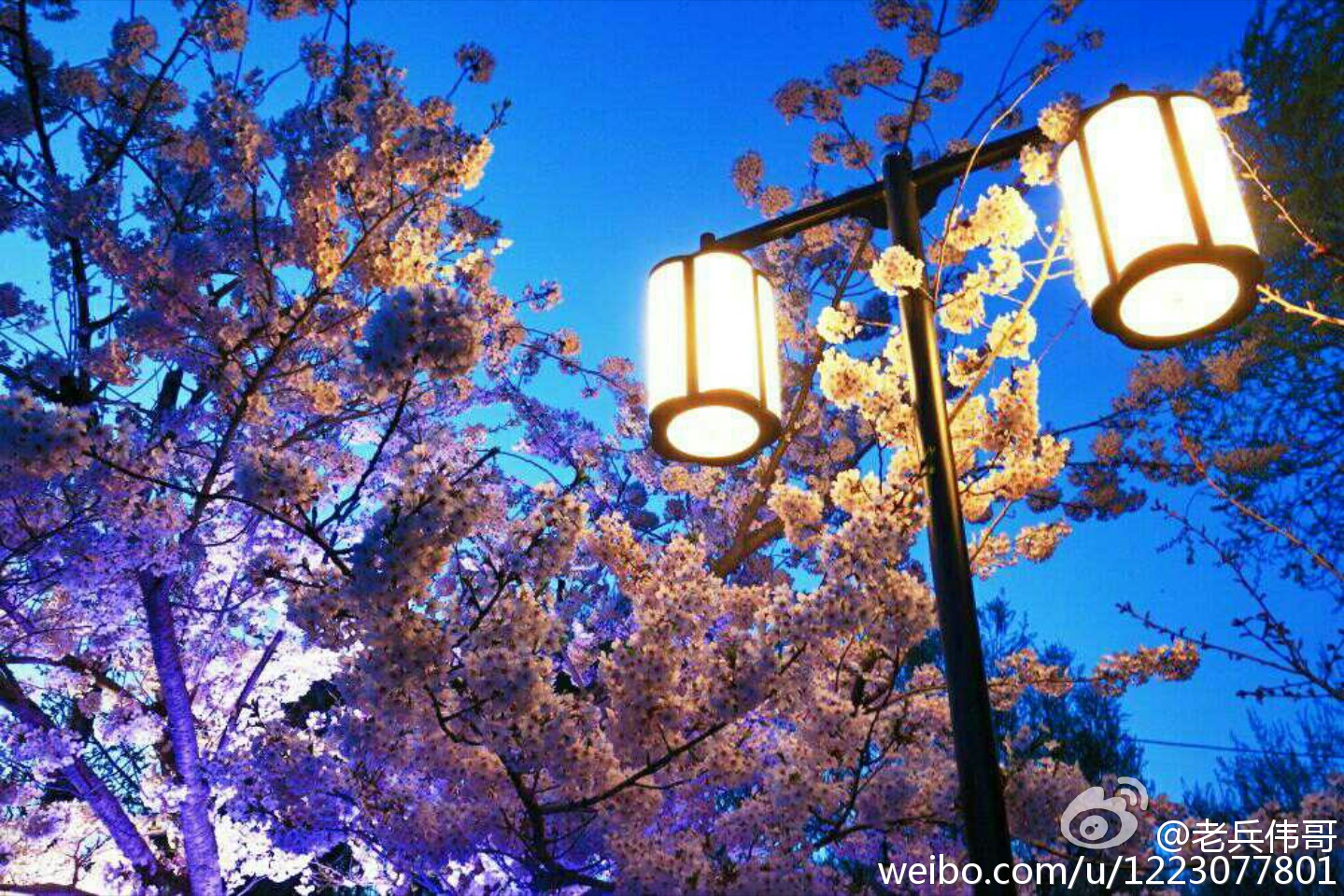 大连旅顺口好吗,旅顺值得住一晚吗