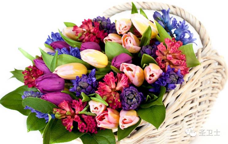 肾衰竭的人皮肤会怎样,肾衰竭皮肤脱皮怎么回事