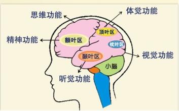 新生儿抽动癫痫,新生儿癫痫发作视频