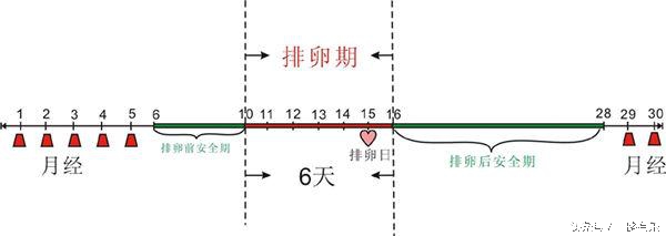 女孩子排卵受孕最佳时间,想要女孩什么时候怀孕最好