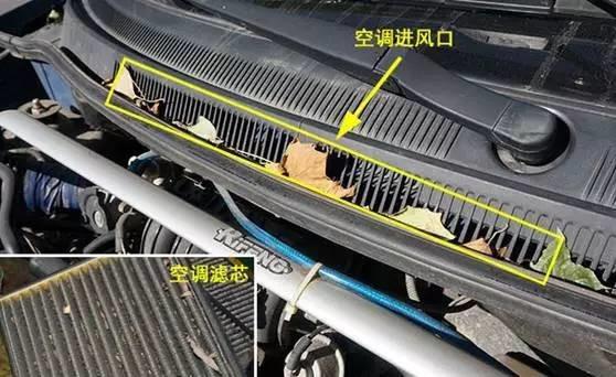 女司机车异味,女司机车内诡异响声