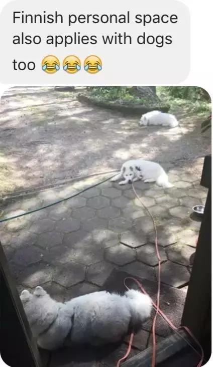 芬兰人为什么喜欢蒸桑拿,芬兰人为啥如此喜欢桑拿