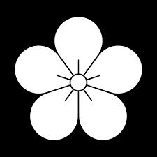 民国如何评选国花市花？梅花呼声高但未当选，上海市花让人想不到