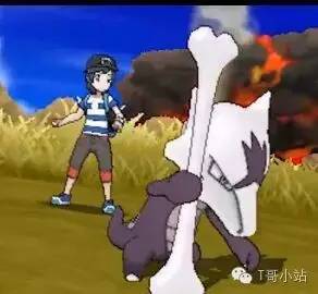 口袋妖怪日月吐槽,口袋妖怪究极日月性格怎么改