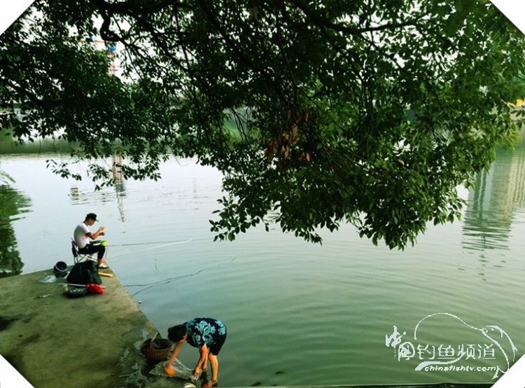 早起的鸟儿有虫吃动画,早起的鸟儿有虫吃故事