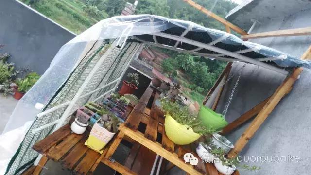 多肉挡雨遮阳布,伸缩挡雨架多肉