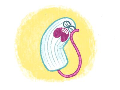 末伏了，抓住夏天的尾巴，谁说姨妈期不能游泳？