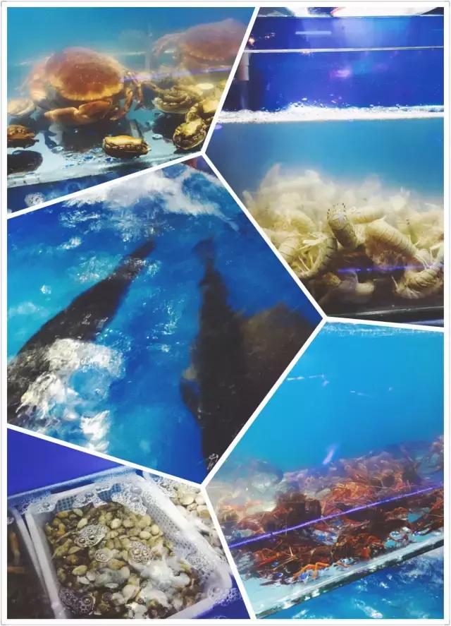 保定好吃的烧烤店,保定超好吃的烧烤店