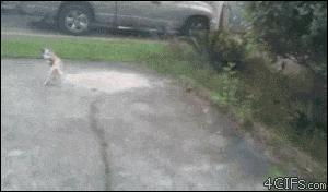 冷静表情包gif图片,搞怪图片gif