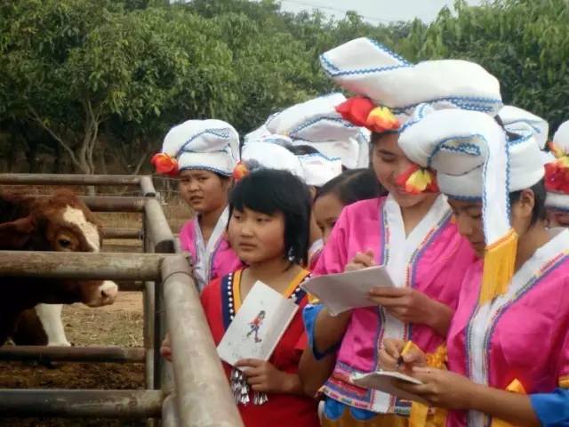 梦想起航沙河校区,内丘中学梦开始的地方