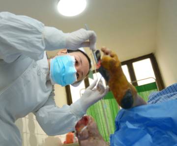 摄影大赛这个小东西救人治病无数，外国人却当做“奇葩”！（作品展示42期）