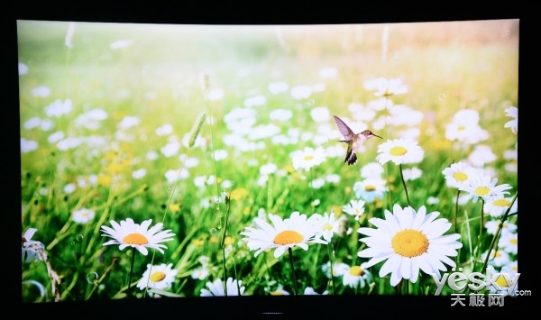 海信电视机d3k怎么样,海信电视65mu7000u怎么样