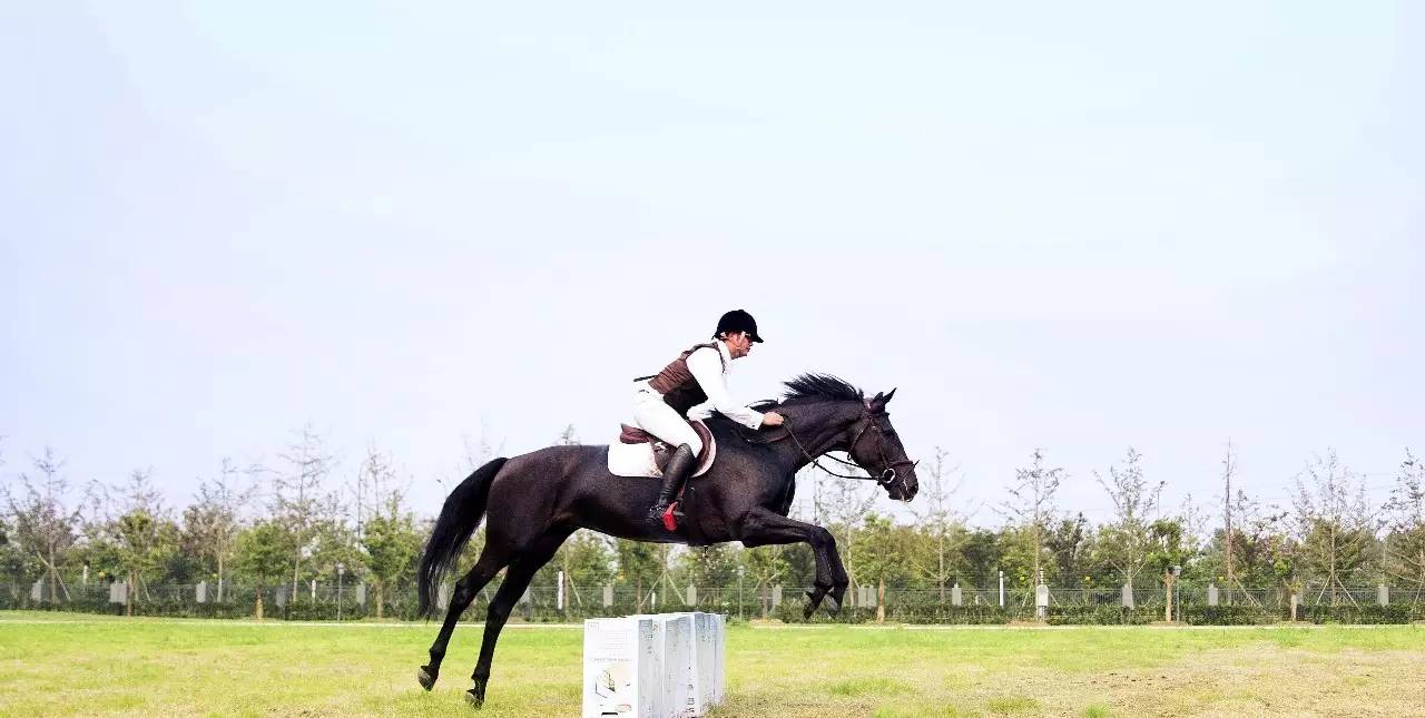 绮捐嫳鏁欒偛鑻卞浗鍏,鑻卞浗鍏绮捐嫳鏁欒偛