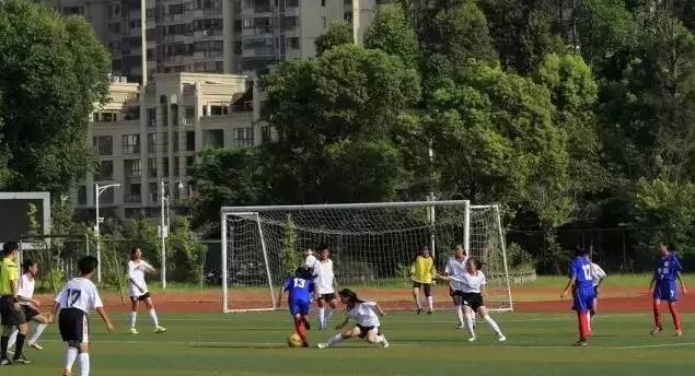 未来拯救国足的英雄,能拯救国足的人吗