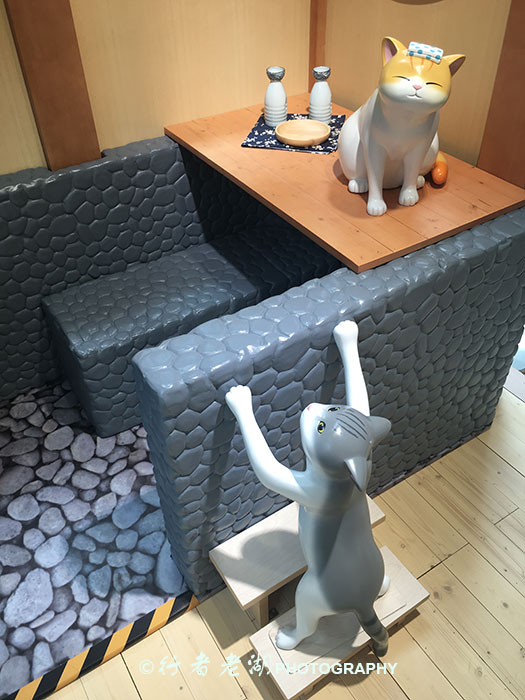 猫大咪可爱视频,小猫咪呆萌视频