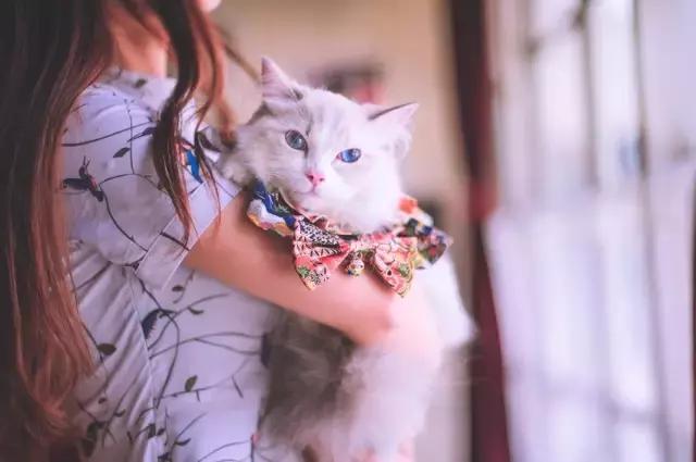 阅狗无数，看铲屎官摄影师如何用宠物来“撩妹”