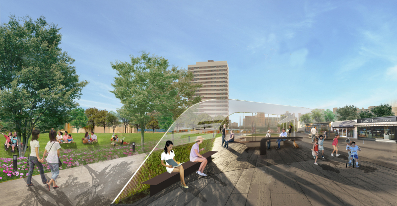 西湾红树林湿地公园滨海长廊,黄岛红树林滨海公园