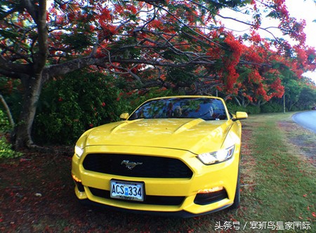 塞班岛自驾跑车游玩攻略,塞班岛自驾游最佳攻略