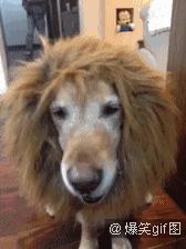 西甲球队巡礼,西甲新赛季分析