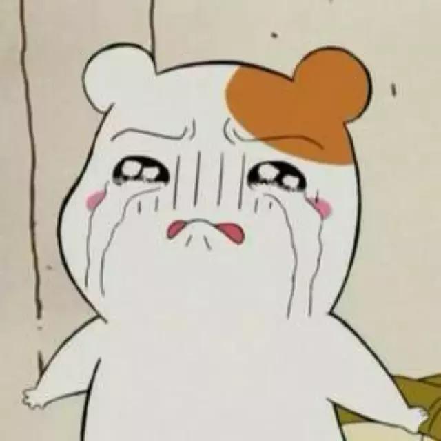 南昌有名的卤味叫什么,南昌像周黑鸭味的卤味