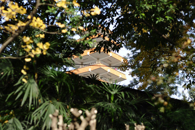 重庆鹅岭公园的介绍,重庆鹅岭公园有什么好玩的