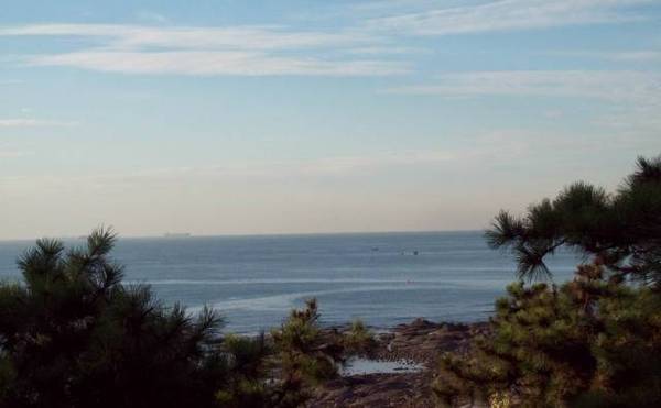 西海岸灵山卫钓鱼的钓点,灵山卫海边钓鱼