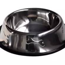 狗狗领回家多久可以训练呢,狗狗新手上路请多关照