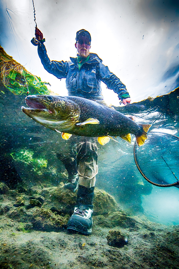夏天瑞士,夏天瑞士风光