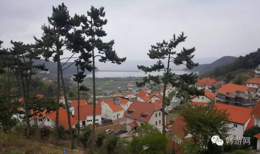 老司机的韩国南部深度游！老司机请带带我这才叫旅游！